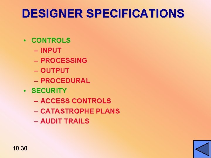 DESIGNER SPECIFICATIONS • CONTROLS – INPUT – PROCESSING – OUTPUT – PROCEDURAL • SECURITY