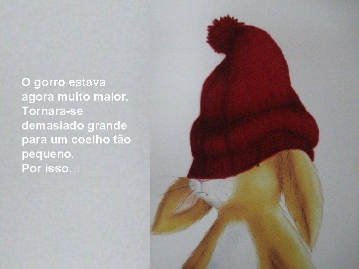 O gorro estava agora muito maior. Tornara-se demasiado grande para um coelho tão pequeno.