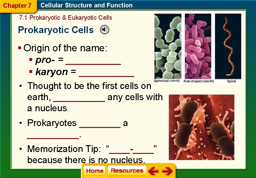 Chapter 7 Cellular Structure and Function 7. 1 Prokaryotic & Eukaryotic Cells Prokaryotic Cells
