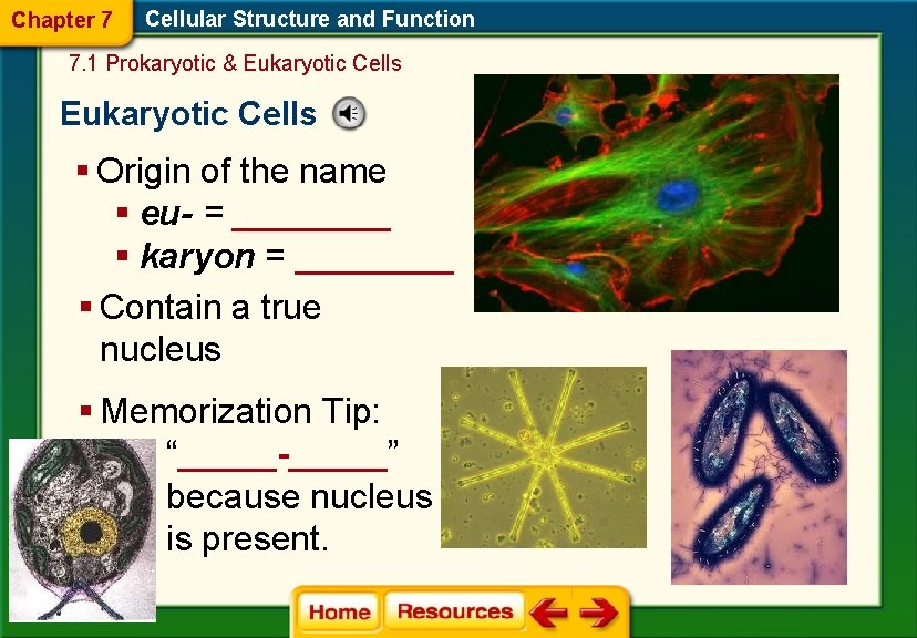 Chapter 7 Cellular Structure and Function 7. 1 Prokaryotic & Eukaryotic Cells § Origin
