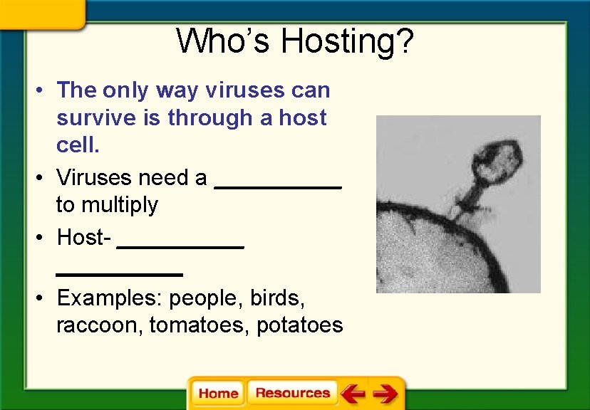 Who’s Hosting? • The only way viruses can survive is through a host cell.