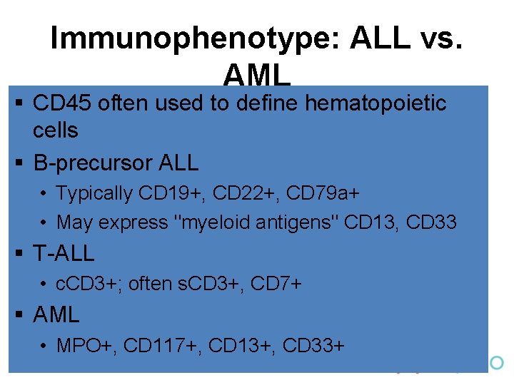 Immunophenotype: ALL vs. AML § CD 45 often used to define hematopoietic cells §