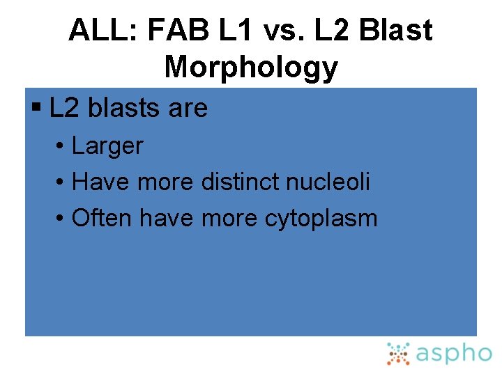 ALL: FAB L 1 vs. L 2 Blast Morphology § L 2 blasts are