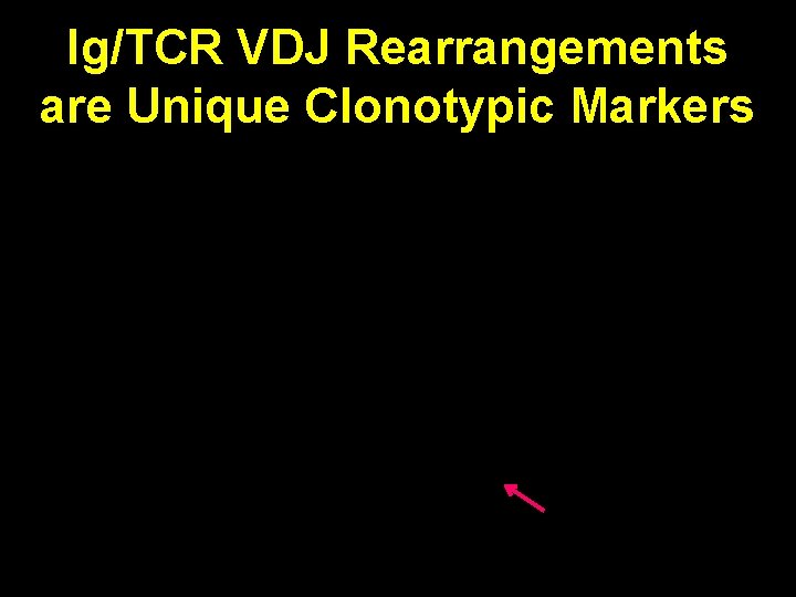 Ig/TCR VDJ Rearrangements are Unique Clonotypic Markers Unique marker of each B cell and