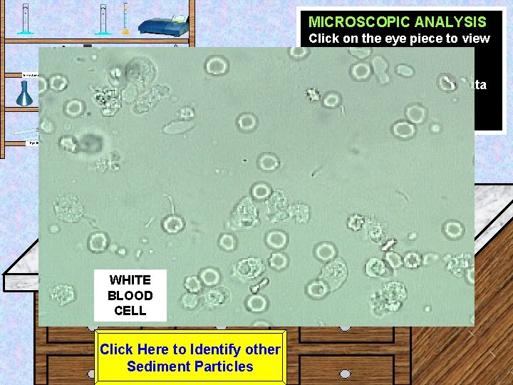 MICROSCOPIC ANALYSIS Click on the eye piece to view the sample at High power.