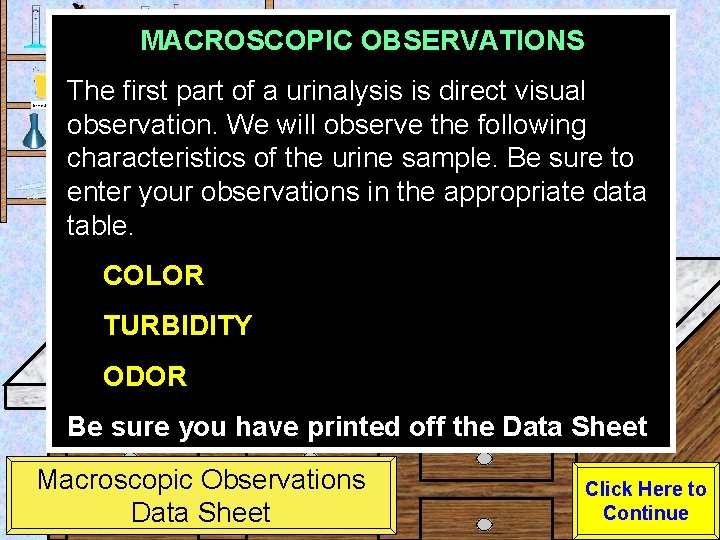 MACROSCOPIC OBSERVATIONS Urine Sample The first part of a urinalysis is direct visual observation.