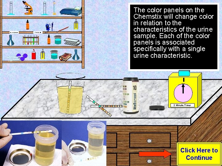 Urine Sample The color panels on the Chemstix will change color in relation to