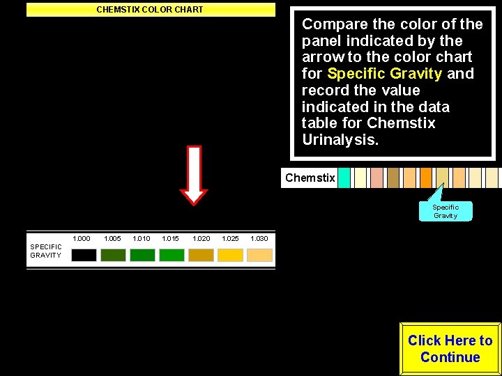 CHEMSTIX COLOR CHART Negative Trace Small Moderate Large LEUKOCYTES Negative -----Positive---- NITRITE (Any degree