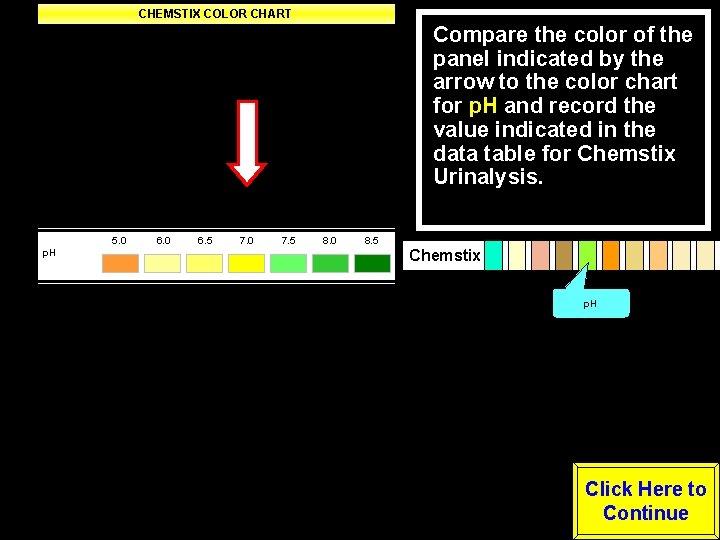 CHEMSTIX COLOR CHART Negative Trace Small Moderate Large LEUKOCYTES Negative -----Positive---- NITRITE (Any degree