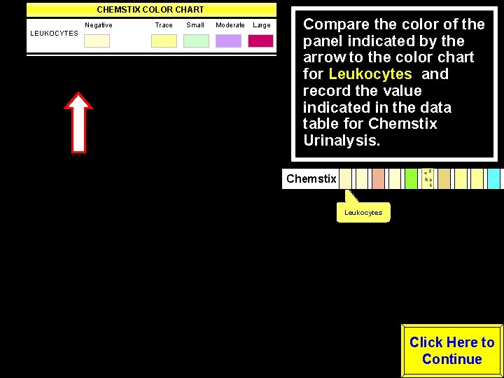 CHEMSTIX COLOR CHART Negative Trace Small Moderate Large LEUKOCYTES Negative -----Positive---- NITRITE (Any degree