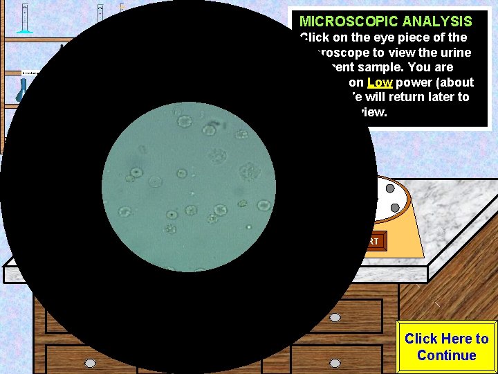 MICROSCOPIC ANALYSIS Urine Sample Test Tube Rack Eye Dropper Click on the eye piece