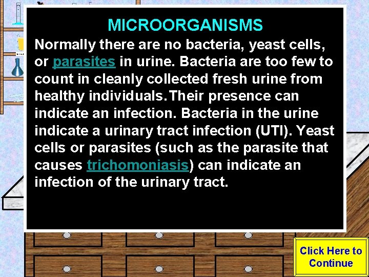 MICROORGANISMS Urine Sample Normally there are no bacteria, yeast cells, or parasites in urine.