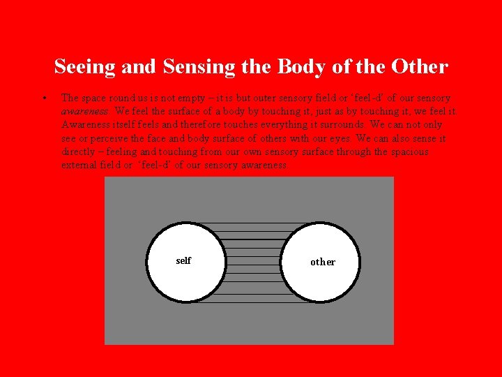 Seeing and Sensing the Body of the Other • The space round us is