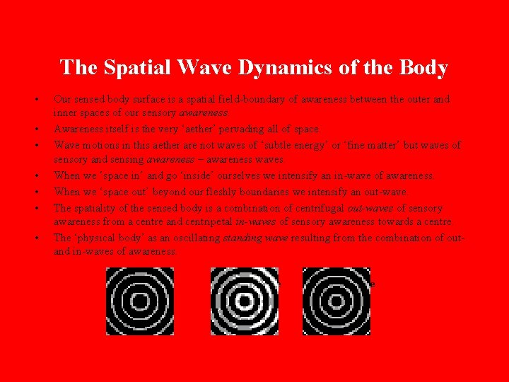 The Spatial Wave Dynamics of the Body • • Our sensed body surface is