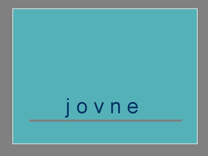 jovne 