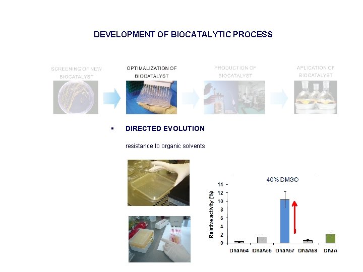 DEVELOPMENT OF BIOCATALYTIC PROCESS § DIRECTED EVOLUTION resistance to organic solvents 