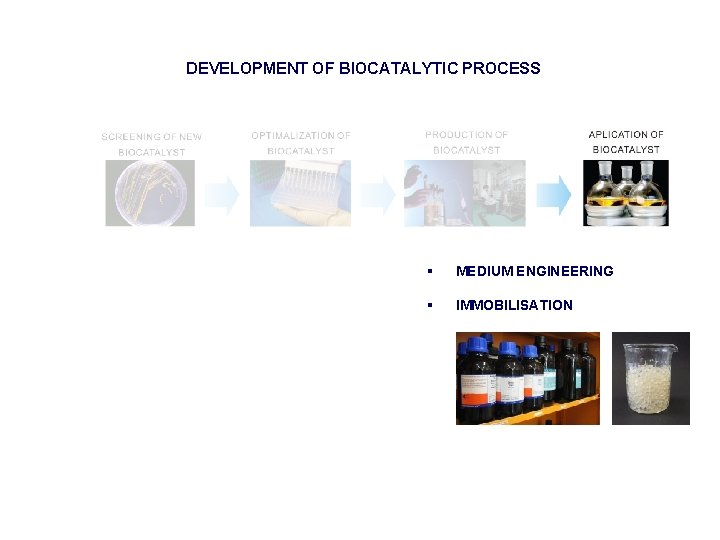 DEVELOPMENT OF BIOCATALYTIC PROCESS § MEDIUM ENGINEERING § IMMOBILISATION 