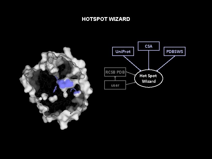 HOTSPOT WIZARD Uni. Prot RCSB PDB user CSA Hot Spot Wizard PDBSWS 