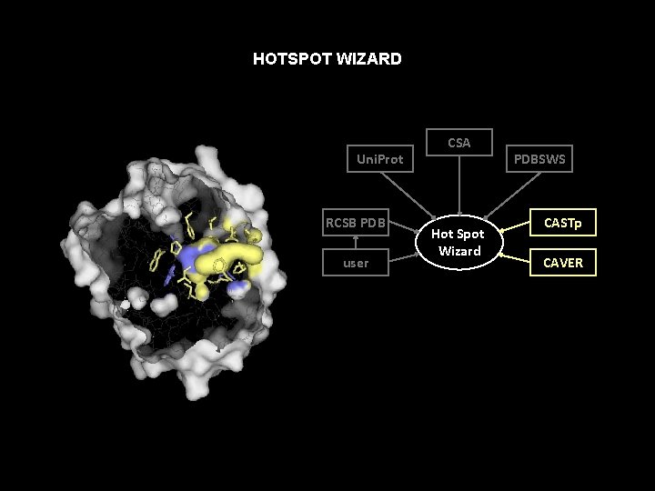 HOTSPOT WIZARD Uni. Prot RCSB PDB user CSA Hot Spot Wizard PDBSWS CASTp CAVER