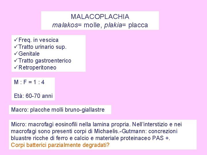 MALACOPLACHIA malakos= molle, plakia= placca üFreq. in vescica üTratto urinario sup. üGenitale üTratto gastroenterico