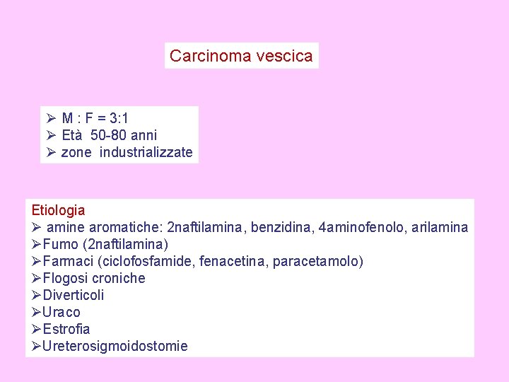 Carcinoma vescica Ø M : F = 3: 1 Ø Età 50 -80 anni