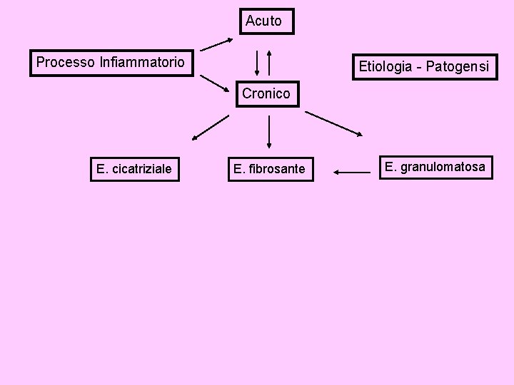 Acuto Processo Infiammatorio Etiologia - Patogensi Cronico E. cicatriziale E. fibrosante E. granulomatosa 