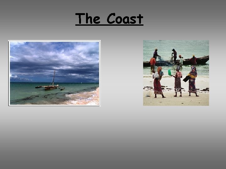 The Coast 