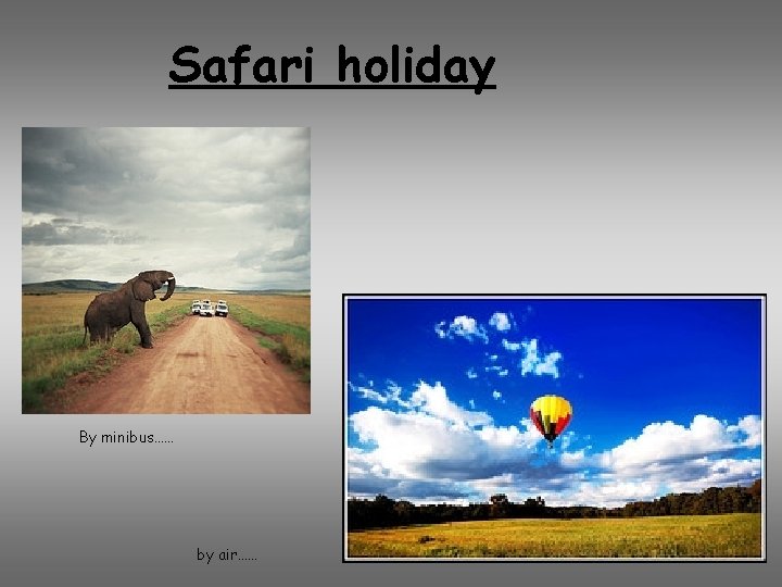Safari holiday By minibus…… by air…… 