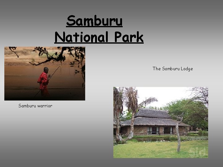 Samburu National Park The Samburu Lodge Samburu warrior 