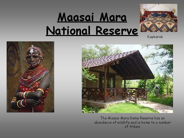 Maasai Mara National Reserve Keekerok The Maasai Mara Game Reserve has an abundance of