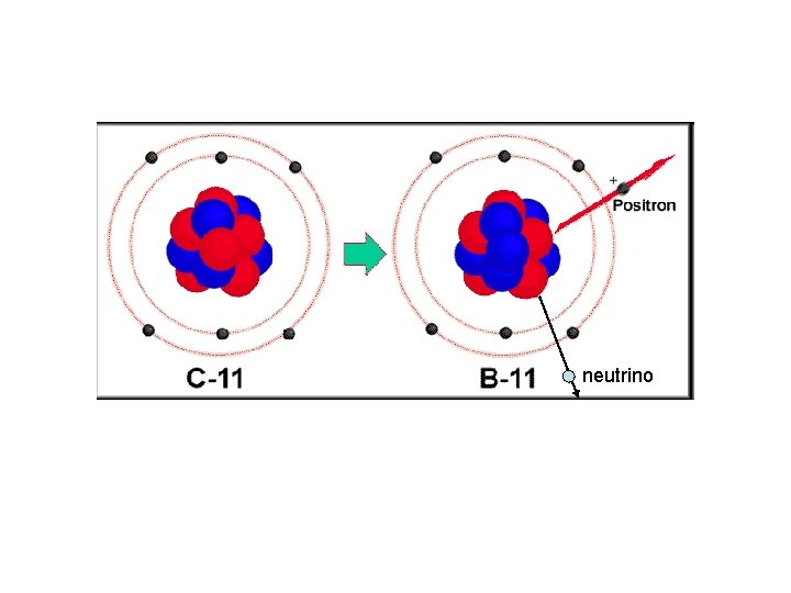 neutrino  neutrino