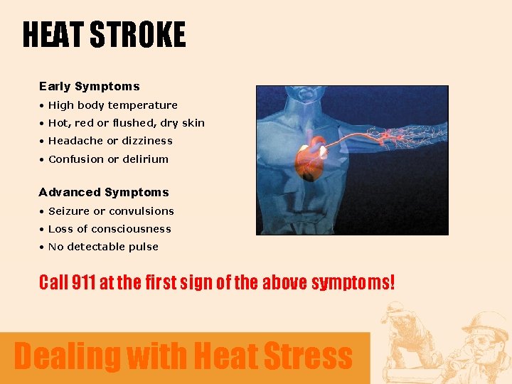HEAT STROKE Early Symptoms • High body temperature • Hot, red or flushed, dry