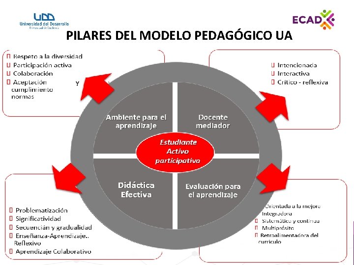 PILARES DEL MODELO PEDAGÓGICO UA 