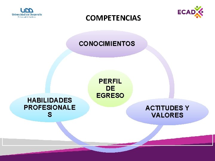 COMPETENCIAS CONOCIMIENTOS HABILIDADES PROFESIONALE S PERFIL DE EGRESO ACTITUDES Y VALORES 