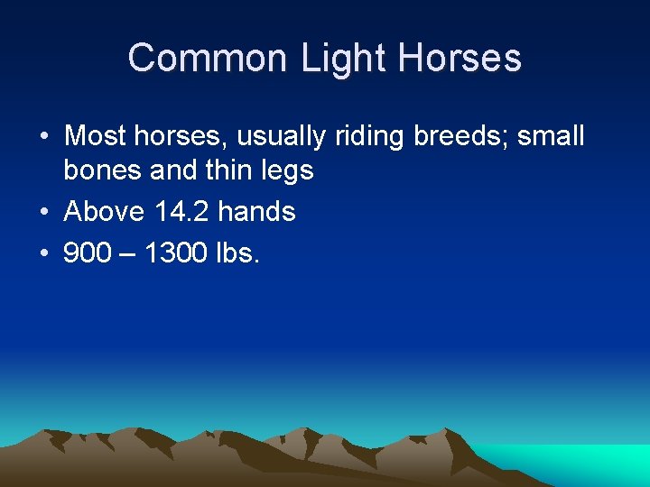 Common Light Horses • Most horses, usually riding breeds; small bones and thin legs