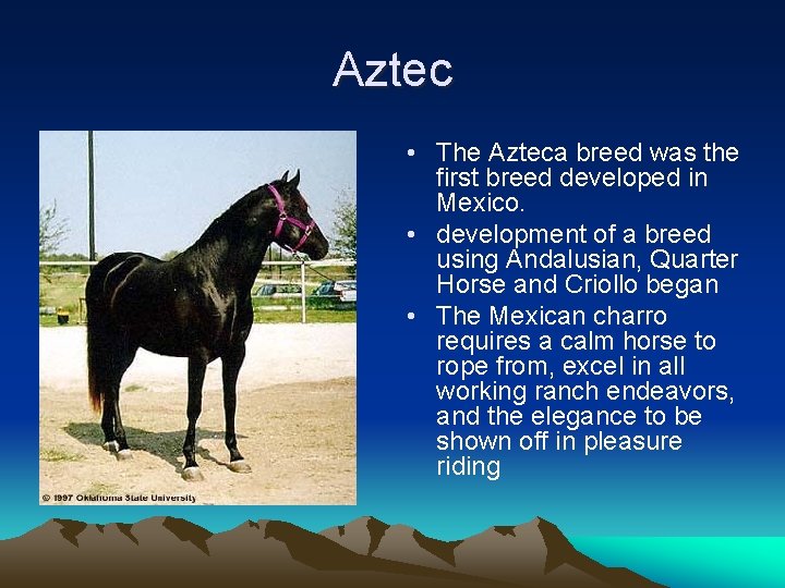 Aztec • The Azteca breed was the first breed developed in Mexico. • development