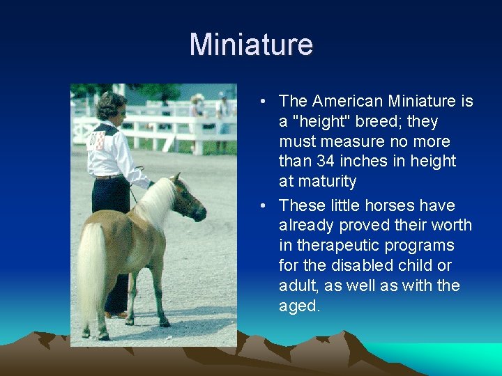 Miniature • The American Miniature is a "height" breed; they must measure no more