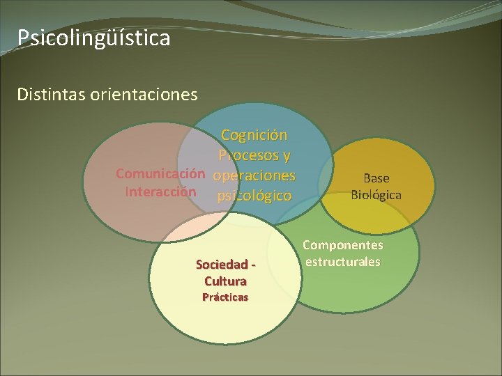 Psicolingüística Distintas orientaciones Cognición Procesos y Comunicación operaciones Interacción psicológico Sociedad - Cultura Prácticas