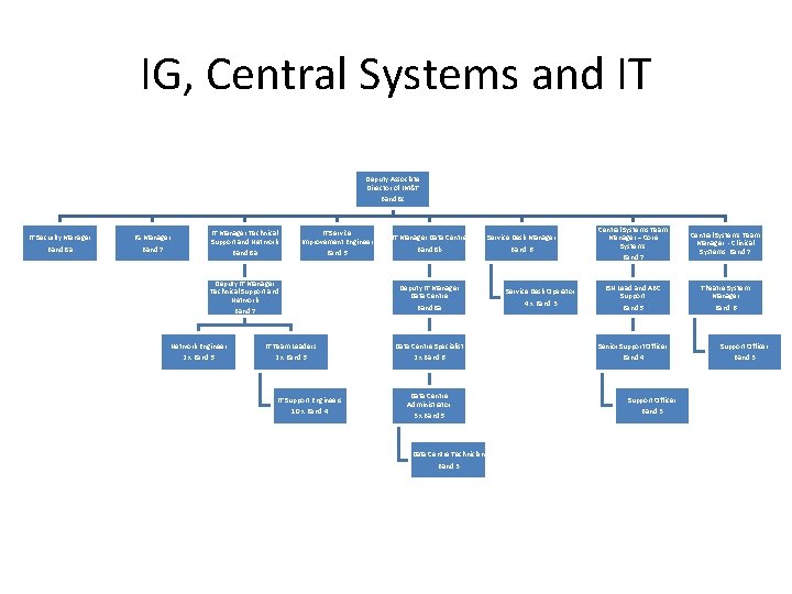 IG, Central Systems and IT Deputy Associate Director of IM&T Band 8 c IT