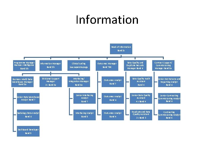 Information Head of Information Band 8 c Programme Manager Business Intelligence Band 8 b