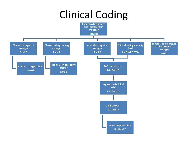 Clinical Coding Clinical coding service and improvement manager Band 8 a Clinical coding audit