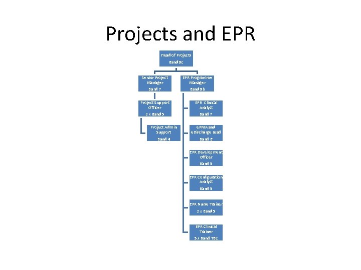 Projects and EPR Head of Projects Band 8 c Senior Project Manager Band 7