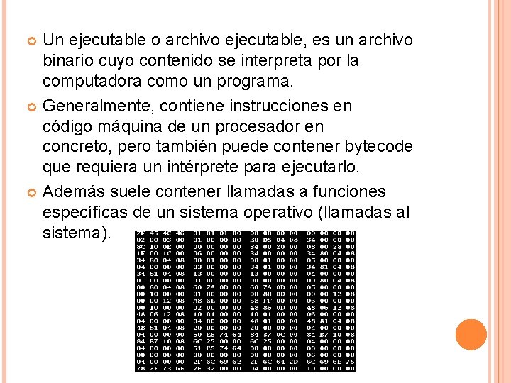 Un ejecutable o archivo ejecutable, es un archivo binario cuyo contenido se interpreta por