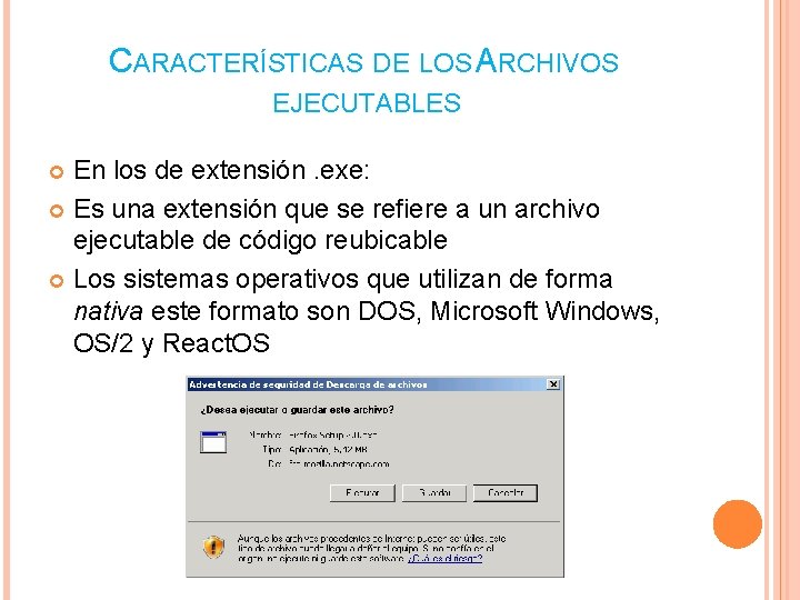 CARACTERÍSTICAS DE LOS ARCHIVOS EJECUTABLES En los de extensión. exe: Es una extensión que