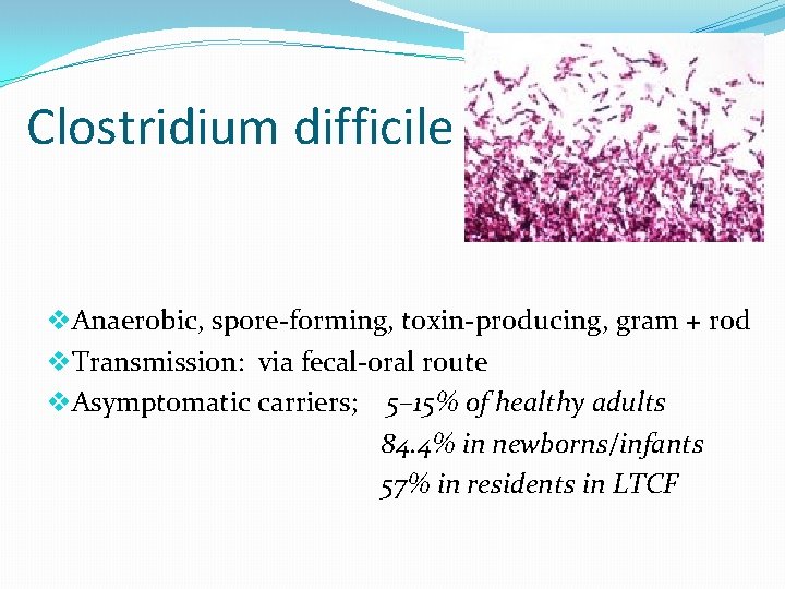 Clostridium difficile v. Anaerobic, spore-forming, toxin-producing, gram + rod v. Transmission: via fecal-oral route