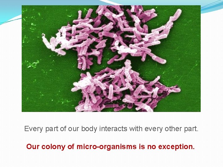 Every part of our body interacts with every other part. Our colony of micro-organisms