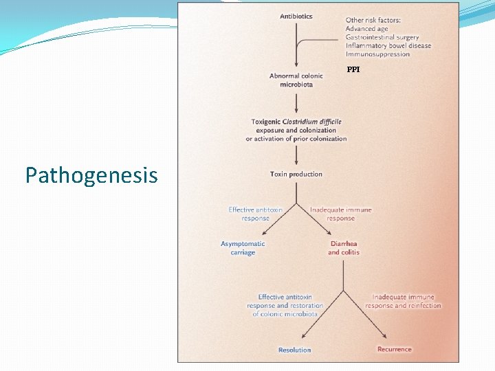 PPI Pathogenesis 