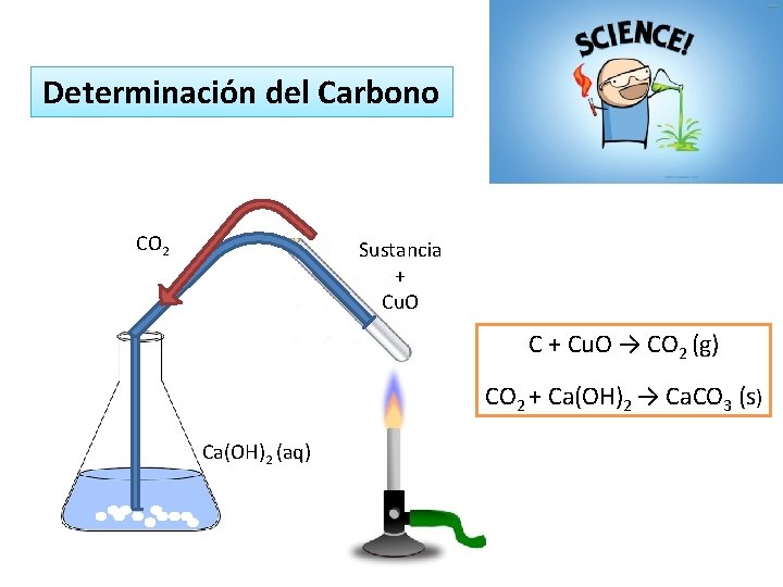 Determinación del Carbono CO 2 Sustancia + Cu. O C + Cu. O →