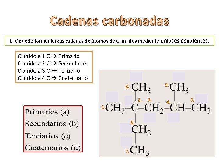 Cadenas carbonadas El C puede formar largas cadenas de átomos de C, unidos mediante