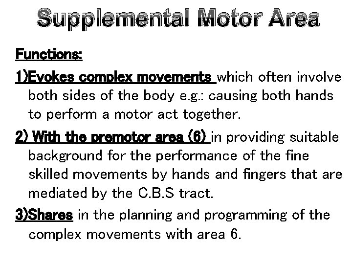 Supplemental Motor Area Functions: 1)Evokes complex movements which often involve both sides of the